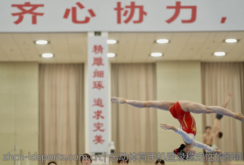 乐动体育手机登录稳定性的影响因素分析