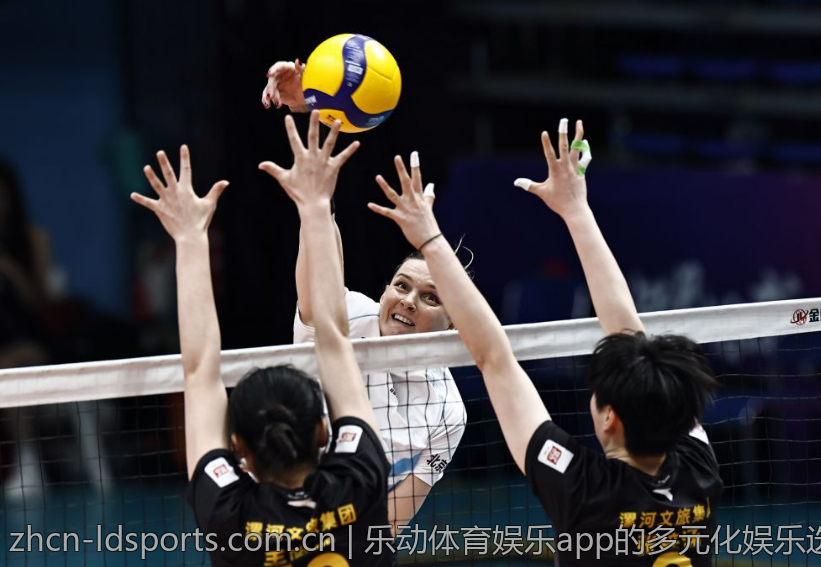乐动体育娱乐app的多元化娱乐选择探讨