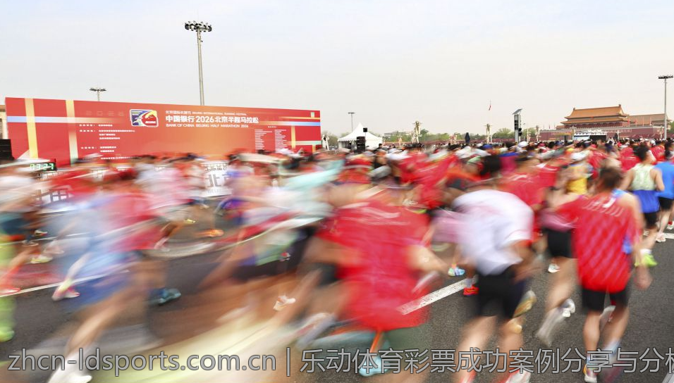 乐动体育彩票成功案例分享与分析